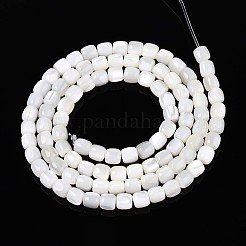 Natural Trochid Shell/Trochus Shell Beads Strands&nbsp;SSHEL-N040-08
