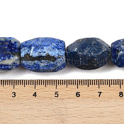 Natural Lapis Lazuli Beads Strands&nbsp;G-F796-C01-01