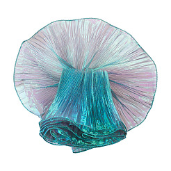 5 Yards Polyester Ruffled Ribbon&nbsp;OCOR-TA0004-06C