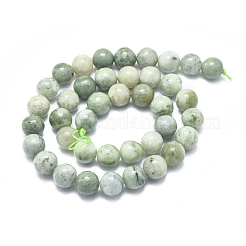 Natural Myanmar Jade/Burmese Jade Beads Strands&nbsp;G-D0001-08-10mm