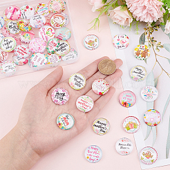 1 Bag Glass Cabochons&nbsp;GGLA-PH0001-41B