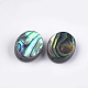 Abalone Shell/Paua Shell Beads&nbsp;SSHEL-T008-04-2