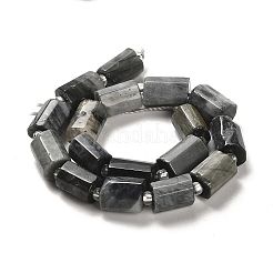 Natural Eagle Eye Stone Beads Strands&nbsp;G-N327-06-08
