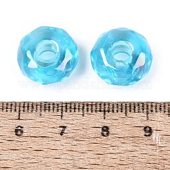 Transparent Acrylic European Beads&nbsp;OACR-E033-25F