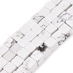 Natural Howlite Beads Strands&nbsp;G-T139-6x6-02A