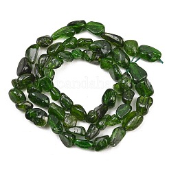Natural Green Diopside Beads Strands&nbsp;G-G464-A01-01