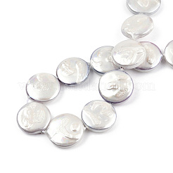 Plating Natural Freshwater Shell Beads Strands&nbsp;SHEL-N026-225B