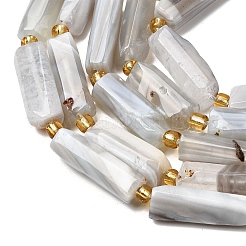 Natural Botswana Agate Beads Strands&nbsp;G-D353-A11