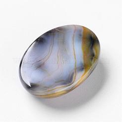 Natural Dragon Veins Cabochons&nbsp;G-F296-05-18x25mm