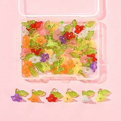 50Pcs Transparent Acrylic Pendants&nbsp;PALLOY-FS00043-06