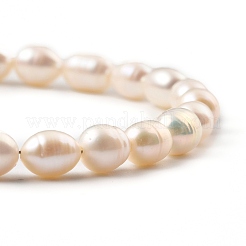Natural Cultured Freshwater Pearl Beaded Bracelets&nbsp;BJEW-JB05325-01