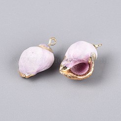 Electroplate Natural Sea Shell Pendants&nbsp;BSHE-Q020-02