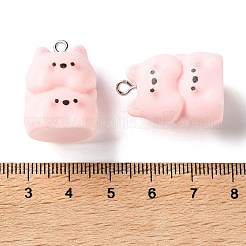 Opaque Resin Pendants&nbsp;RE-B002-02