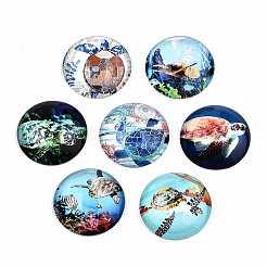 Glass Cabochons&nbsp;GGLA-S036-20A