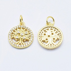 Brass Micro Pave Cubic Zirconia Charms&nbsp;RB-I078-68G-NR