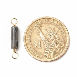 Natural Larvikite Connector Charms&nbsp;PALLOY-JF01454-05