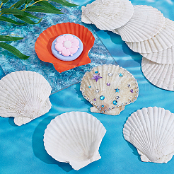 60Pcs Natural Shell Jewelry Decorative Plate&nbsp;AJEW-GA0009-64B