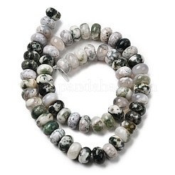 Natural Tree Agate Beads Strands&nbsp;G-A280-A04-03