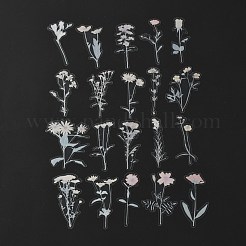 40Pcs Waterproof PET Adhesive Stickers Set&nbsp;DIY-K032-56B