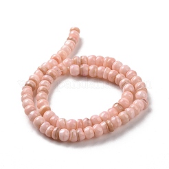 Natural Cultured Freshwater Shell Beads Strands&nbsp;SHEL-F002-01