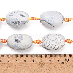 Natural Fire Crackle Agate Beads Strands&nbsp;G-A321-J06-01