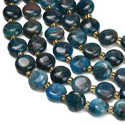 Natural Apatite Beads Strands&nbsp;G-H005-B14-01