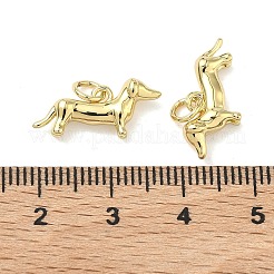 Brass Pendants&nbsp;KK-G555-01G-01