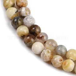 Natural Yellow Opal Beads Strands&nbsp;G-G992-A02-B