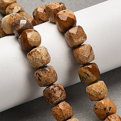 Natural Picture Jasper Beads Strands&nbsp;G-H078-C14-01