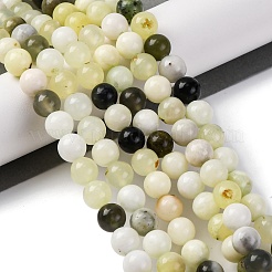 Natural New Jade Beads Strands&nbsp;G-F591-16-8MM