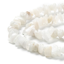 Natural Rainbow Moonstone Beads Strands&nbsp;X-G-A200-02