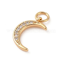 Brass Micro Pave Clear Cubic Zirconia Pendants&nbsp;ZIRC-P121-07G