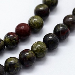 Natural Bloodstone Beads Strands&nbsp;G-I199-21-8mm