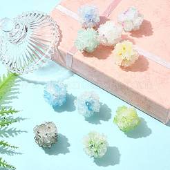 10Pcs 10 Colors Resin Beads&nbsp;RESI-FS0002-24A