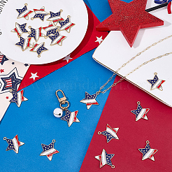 20Pcs Independence Day Alloy Enamel Pendants&nbsp;ENAM-SC0008-28