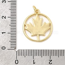 Brass Pendants&nbsp;KK-Z147-13G