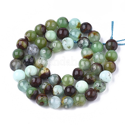 Natural Chrysoprase Beads Strands&nbsp;G-S333-8mm-016