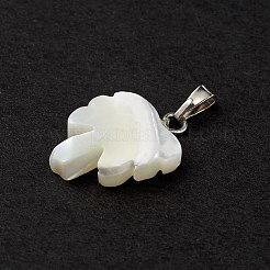 Natural Trochid Shell/Trochus Shell Pendants&nbsp;SSHEL-M021-10