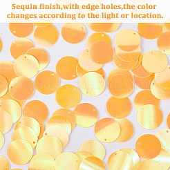 PVC Sequin Pendants&nbsp;KY-WH0083-009B