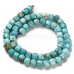 Dyed Natural Howlite Beads Strands&nbsp;G-H078-C28-01