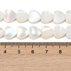 Natural Freshwater Shell Beads Strands&nbsp;SHEL-K010-04