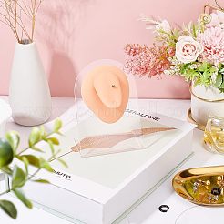 Soft Silicone Tongue Flexible Model Body Part Displays with Acrylic Stands&nbsp;ODIS-WH0002-23