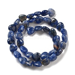 Natural Sodalite Beads Strands&nbsp;G-R190-10mm-37