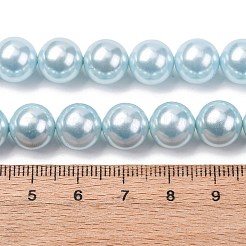 Electroplated Shell Pearl Beads Strands&nbsp;BSHE-G041-10mm-03