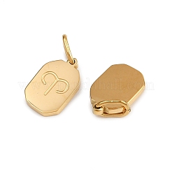 12Pcs 304 Stainless Steel Charms&nbsp;STAS-G359-07G
