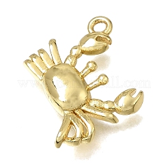 Brass Charms&nbsp;KK-K427-49G