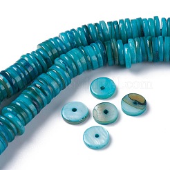 Natural Freshwater Shell Beads Strands&nbsp;BSHE-I016-04C