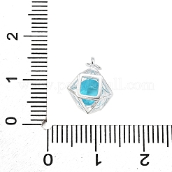 S925 Sterling Silver with Cubic Zirconia Charms&nbsp;LS-STER-Q006-07B-P
