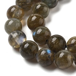 Natural Labradorite Beads Strands&nbsp;G-I253-01