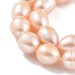 Natural Cultured Freshwater Pearl Beads Strands&nbsp;PEAR-P062-12A